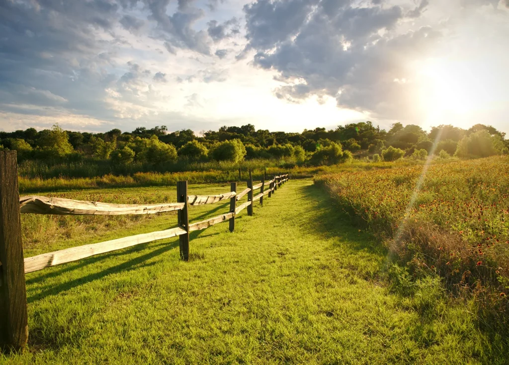 Fence along a field